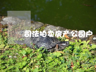 司法拍卖房产公司户 司法拍卖房产公司户