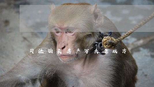 司法拍卖房产写夫妻双方