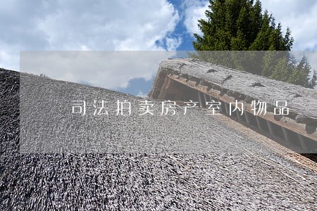 司法拍卖房产室内物品 司法拍卖房产室内物品