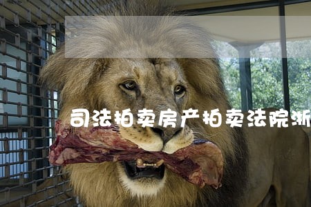 司法拍卖房产拍卖法院浙江 司法拍卖房产拍卖法院浙江