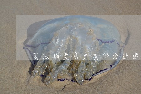司法拍卖房产有部分违建