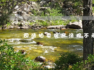 司法拍卖房产法院不承诺可过户