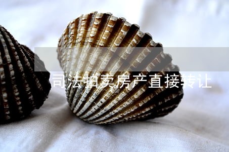 司法拍卖房产直接转让 司法拍卖房产直接转让