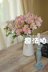司法拍卖房产税费起征点 司法拍卖房产税费起征点