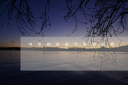 司法拍卖房产能贷款吗 司法拍卖房产能贷款吗