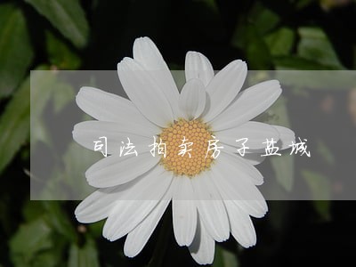 司法拍卖房子盐城