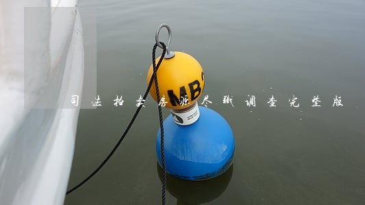 司法拍卖房源尽职调查完整版 司法拍卖房源尽职调查完整版