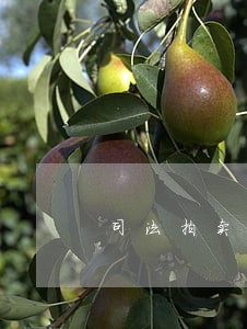 司法拍卖手表靠谱吗 司法拍卖手表靠谱吗