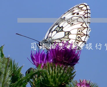 司法拍卖扣除银行贷款 司法拍卖扣除银行贷款