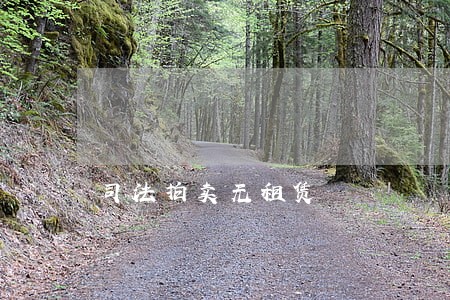 司法拍卖无租赁 司法拍卖无租赁