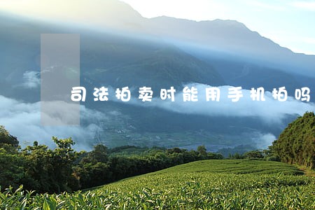 司法拍卖时能用手机拍吗 司法拍卖时能用手机拍吗