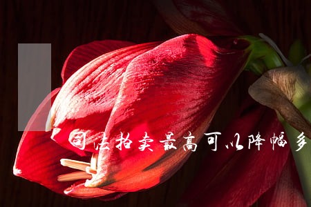 司法拍卖最高可以降幅多少 司法拍卖最高可以降幅多少
