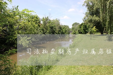 司法拍卖期房产归属店租 司法拍卖期房产归属店租