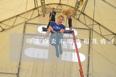 司法拍卖未调查租凭情况 司法拍卖未调查租凭情况