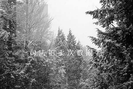 司法拍卖次数限制 司法拍卖次数限制
