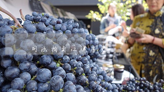司法拍卖江津房产 司法拍卖江津房产