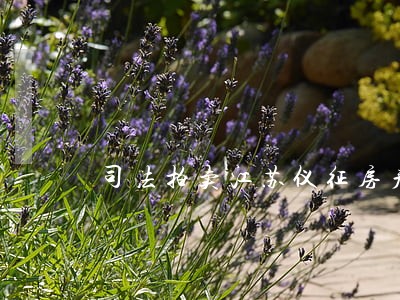 司法拍卖江苏仪征房产 司法拍卖江苏仪征房产