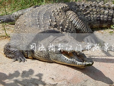 司法拍卖江门市灏景园 司法拍卖江门市灏景园