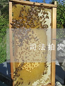司法拍卖法院反悔违约责任 司法拍卖法院反悔违约责任