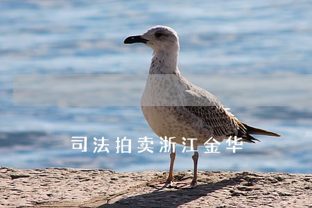 司法拍卖浙江金华 司法拍卖浙江金华