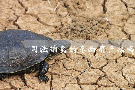 司法拍卖的东西有产权吗