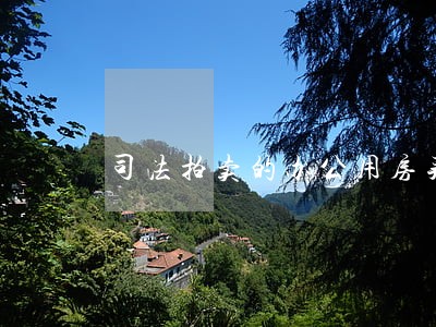 司法拍卖的办公用房买方税费 司法拍卖的办公用房买方税费