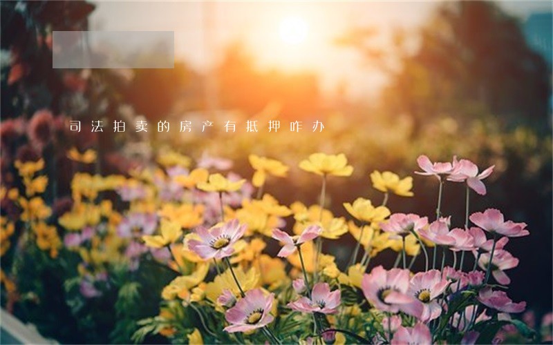 司法拍卖的房产有抵押咋办 司法拍卖的房产有抵押咋办