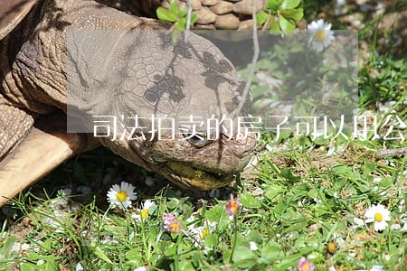 司法拍卖的房子可以用公积金贷款吗 司法拍卖的房子可以用公积金贷款吗