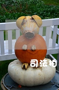 司法拍卖的房屋怎么办房产证 司法拍卖的房屋怎么办房产证