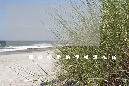 司法拍卖的手机怎么样