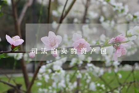 司法拍卖的资产包 司法拍卖的资产包