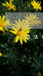 司法拍卖网房产信息 司法拍卖网房产信息