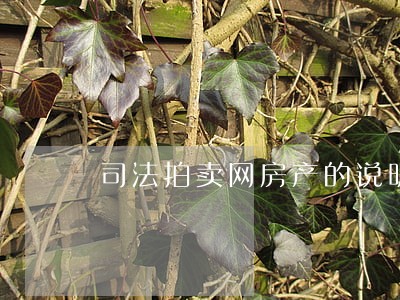 司法拍卖网房产的说明