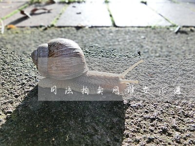 司法拍卖网淮安汇通
