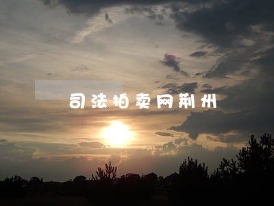 司法拍卖网荆州 司法拍卖网荆州