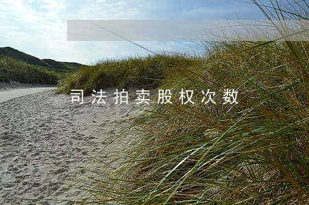 司法拍卖股权次数