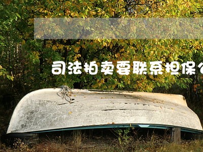 司法拍卖要联系担保公司吗 司法拍卖要联系担保公司吗