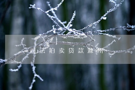 司法拍卖贷款滁州 司法拍卖贷款滁州