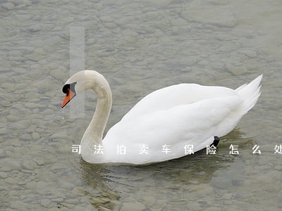 司法拍卖车保险怎么处理 司法拍卖车保险怎么处理