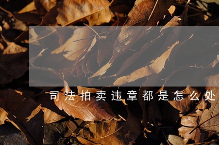 司法拍卖违章都是怎么处理的 司法拍卖违章都是怎么处理的
