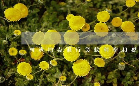 司法拍卖银行贷款利率和税费