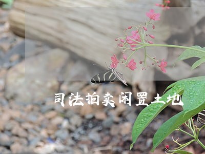 司法拍卖闲置土地