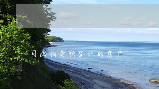 司法拍卖预登记的房产 司法拍卖预登记的房产