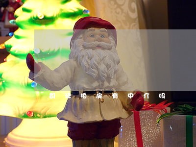 司法拍房有中介吗
