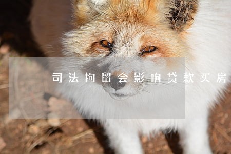 司法拘留会影响贷款买房吗 司法拘留会影响贷款买房吗