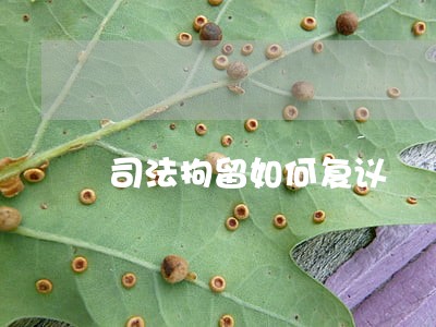 司法拘留如何复议 司法拘留如何复议