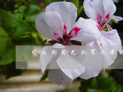 司法拘留无犯罪记录证明