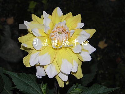 司法援助中心 司法援助中心