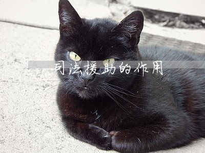 司法援助的作用 司法援助的作用