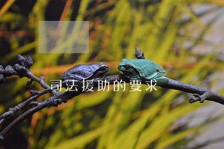 司法援助的要求